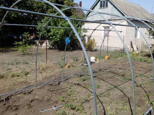 Теплица Ударница Эконом Теплица Ударница Эконом