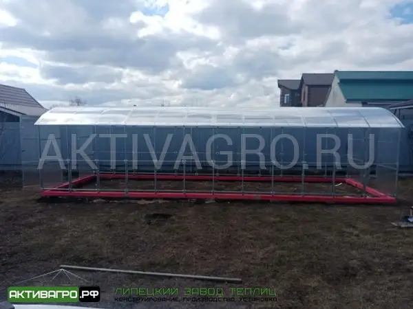 Теплица Ударница Благодатная, ширина 3/3.5 м, труба 40х20 + 20х20 Теплица Ударница Благодатная, ширина 3/3.5 м, труба 40х20 + 20х20