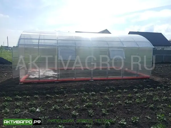 Теплица Ударница Благодатная, ширина 4/5 м, труба 40х20 + 20х20 Теплица Ударница Благодатная, ширина 4/5 м, труба 40х20 + 20х20