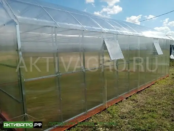 Теплица Ударница Благодатная, ширина 4/5 м, труба 40х20 + 20х20 Теплица Ударница Благодатная, ширина 4/5 м, труба 40х20 + 20х20