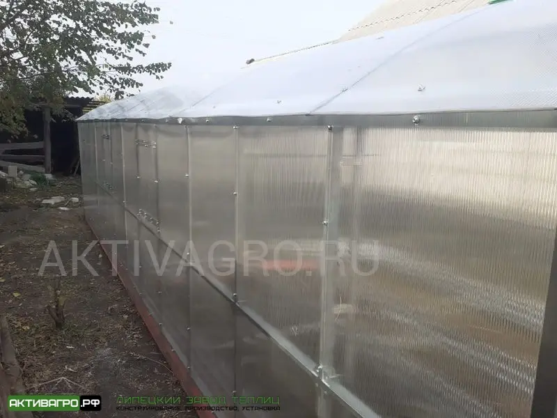 Теплица Ударница Благодатная, ширина 3/3.5 м, труба 40х20 + 20х20 Теплица Ударница Благодатная, ширина 3/3.5 м, труба 40х20 + 20х20