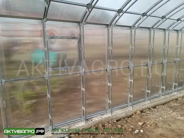Теплица Ударница Благодатная, ширина 4/5 м, труба 40х20 + 20х20 Теплица Ударница Благодатная, ширина 4/5 м, труба 40х20 + 20х20